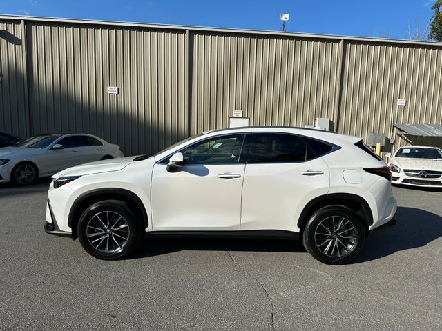 2024 Lexus NX 250