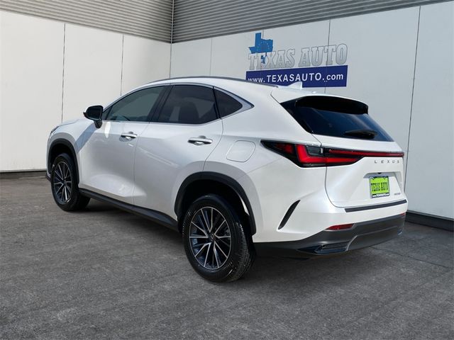 2024 Lexus NX 250