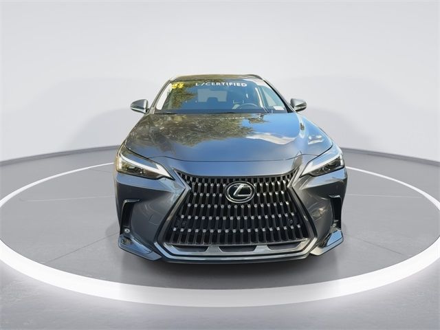 2024 Lexus NX 250 Premium