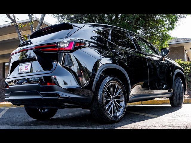 2024 Lexus NX 250 Premium