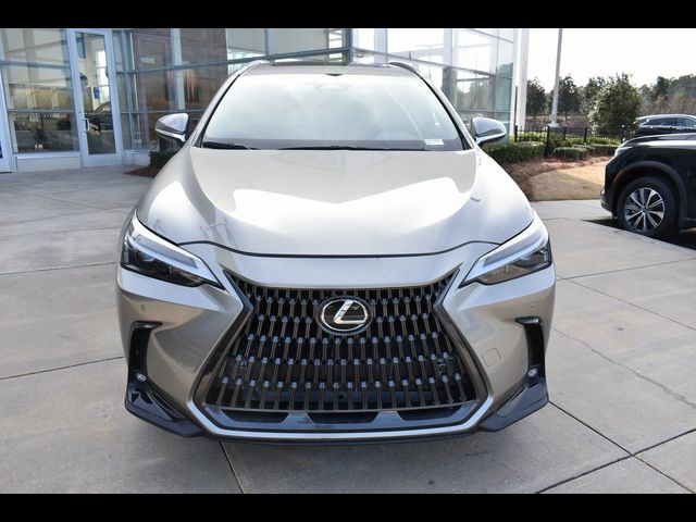 2024 Lexus NX 250 Premium