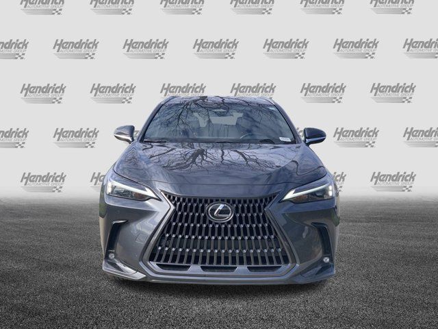 2024 Lexus NX 250 Premium