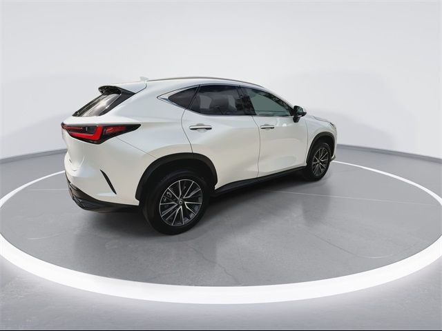 2024 Lexus NX 250 Premium