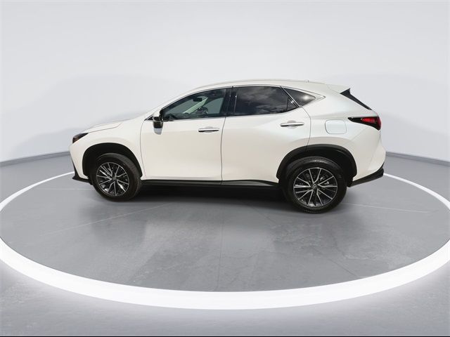 2024 Lexus NX 250 Premium