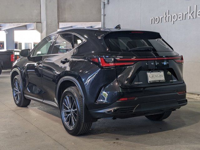 2024 Lexus NX 250 Premium