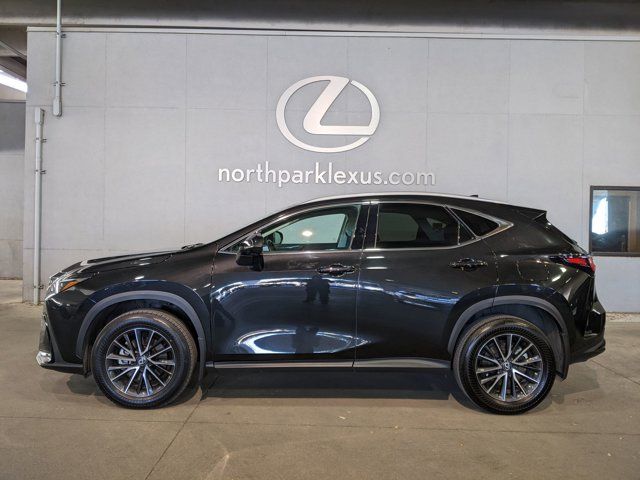 2024 Lexus NX 250 Premium