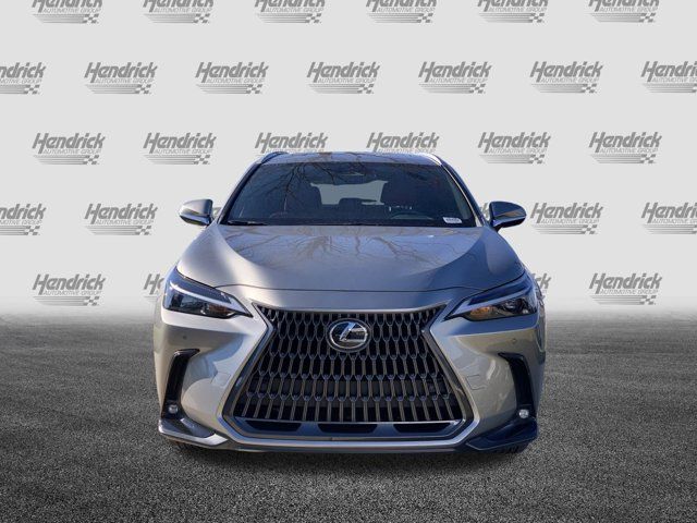 2024 Lexus NX 250 Premium