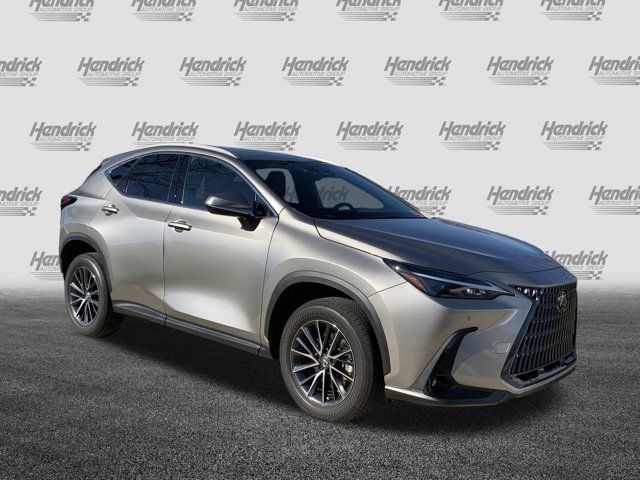 2024 Lexus NX 250 Premium