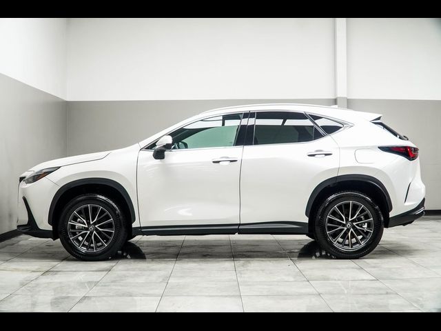 2024 Lexus NX 250 Premium