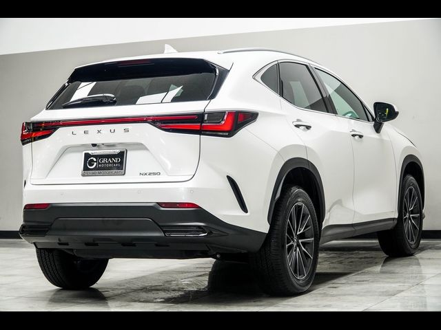 2024 Lexus NX 250 Premium