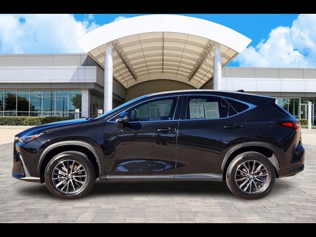 2024 Lexus NX 250 Premium