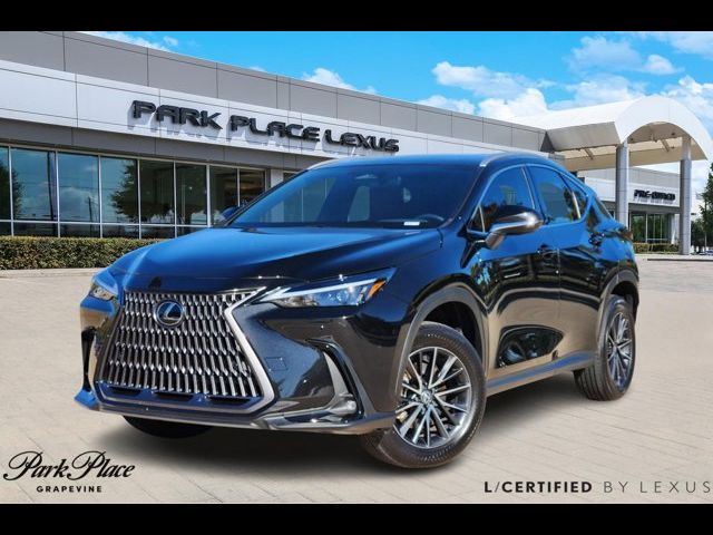 2024 Lexus NX 250 Premium