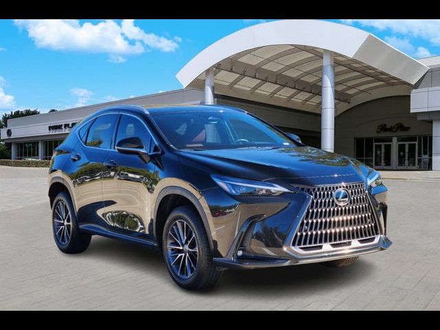 2024 Lexus NX 250 Premium