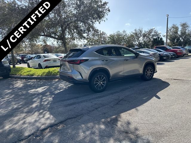 2024 Lexus NX 250 Premium