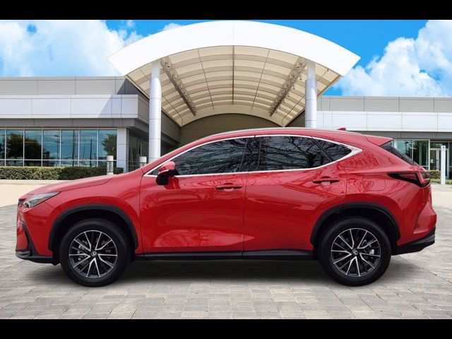 2024 Lexus NX 250 Premium