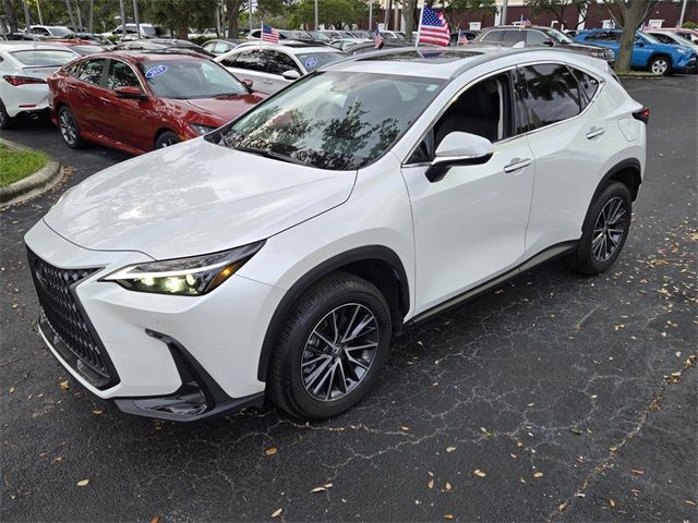 2024 Lexus NX 250 Premium