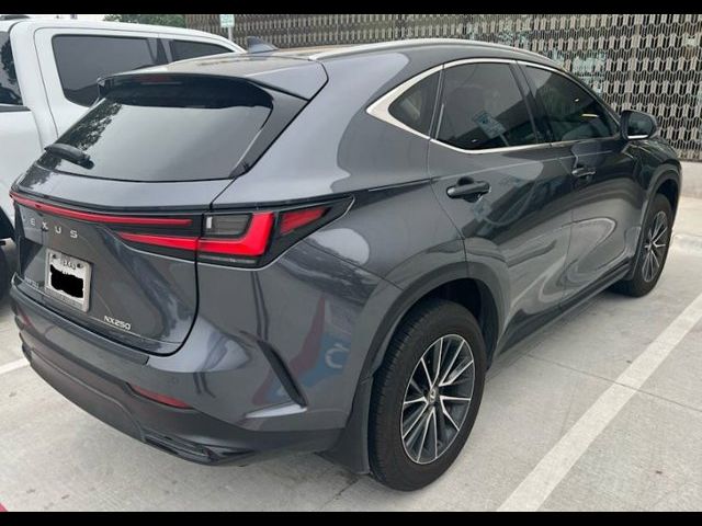 2024 Lexus NX 250 Premium