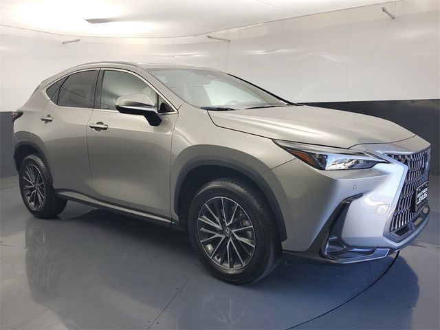 2024 Lexus NX 250 Premium