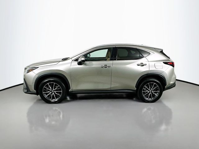 2024 Lexus NX 250 Premium