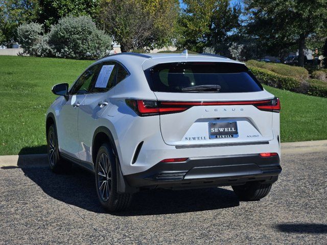 2024 Lexus NX 250 Premium