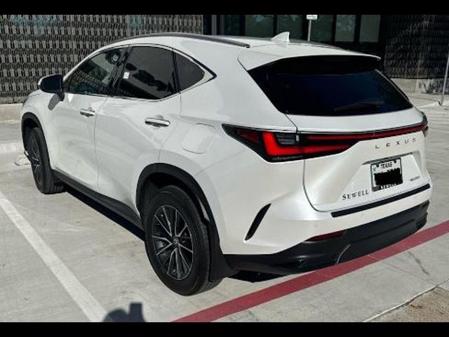 2024 Lexus NX 250 Premium