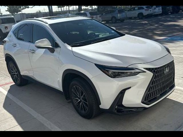 2024 Lexus NX 250 Premium