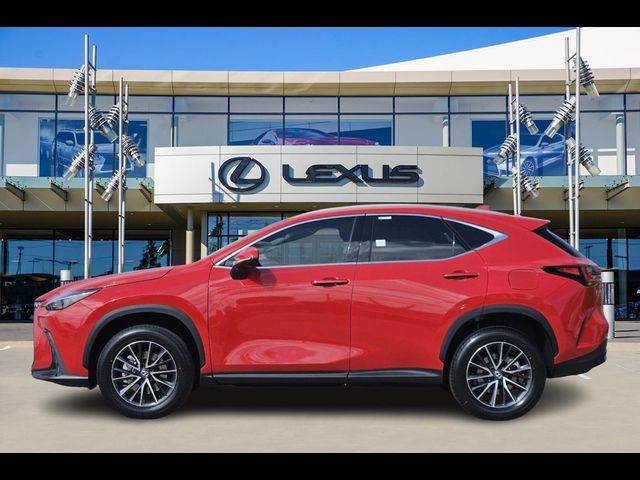 2024 Lexus NX 250 Premium