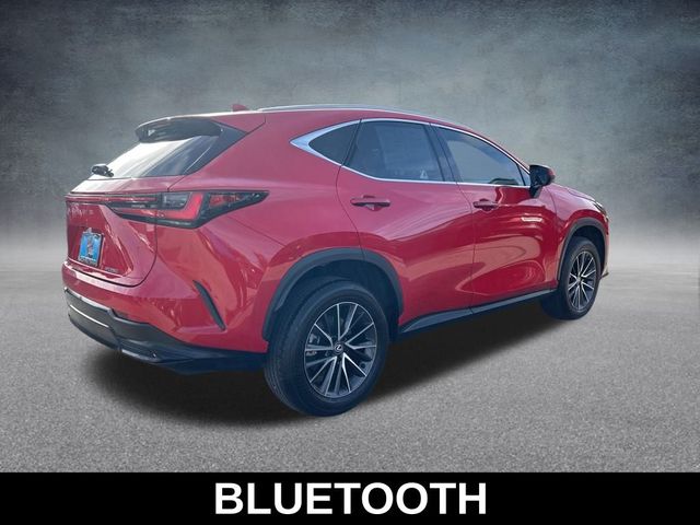 2024 Lexus NX 250 Premium