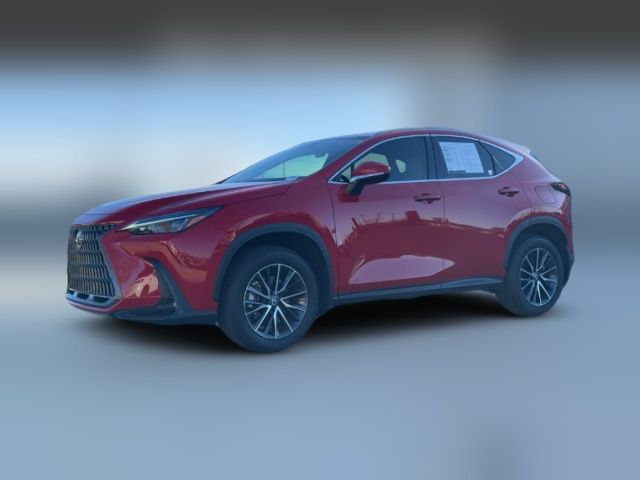 2024 Lexus NX 250 Premium