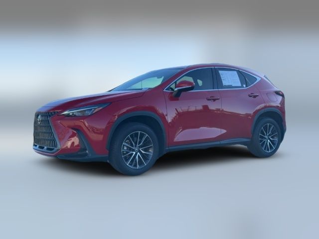 2024 Lexus NX 250 Premium