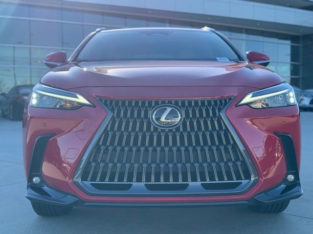 2024 Lexus NX 250 Premium