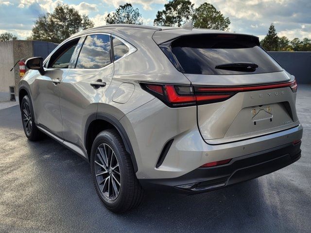 2024 Lexus NX 250 Premium