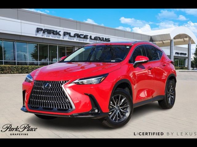 2024 Lexus NX 250 Premium