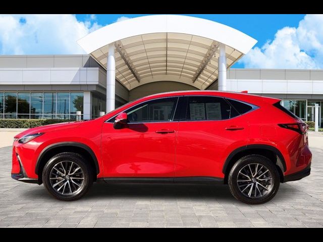 2024 Lexus NX 250 Premium