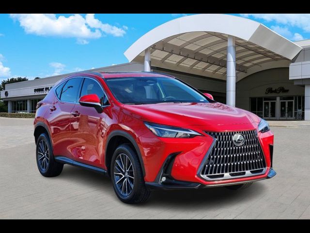 2024 Lexus NX 250 Premium