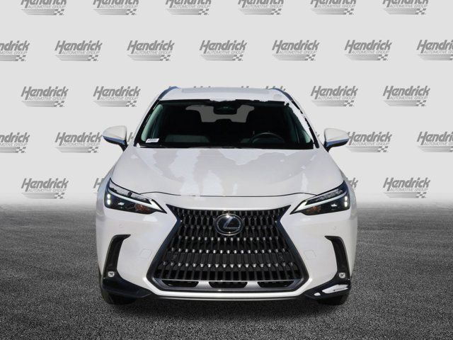 2024 Lexus NX 250 Premium