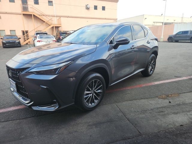 2024 Lexus NX 250 Premium