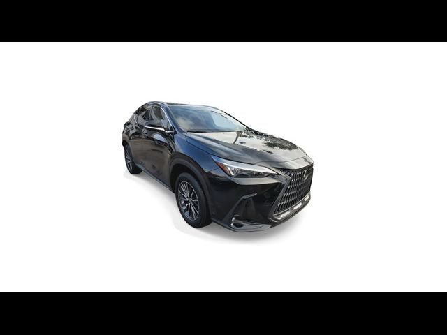 2024 Lexus NX 250 Premium