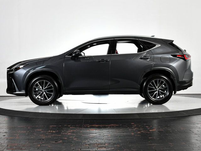 2024 Lexus NX 250 Premium