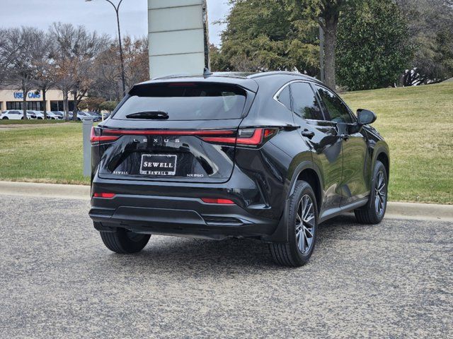 2024 Lexus NX 250 Premium