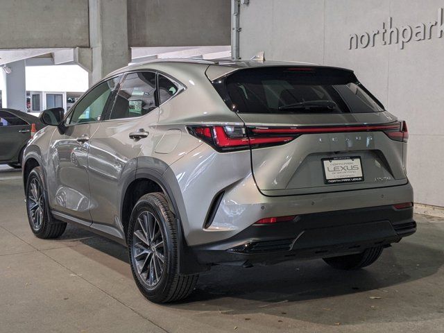 2024 Lexus NX 250 Premium