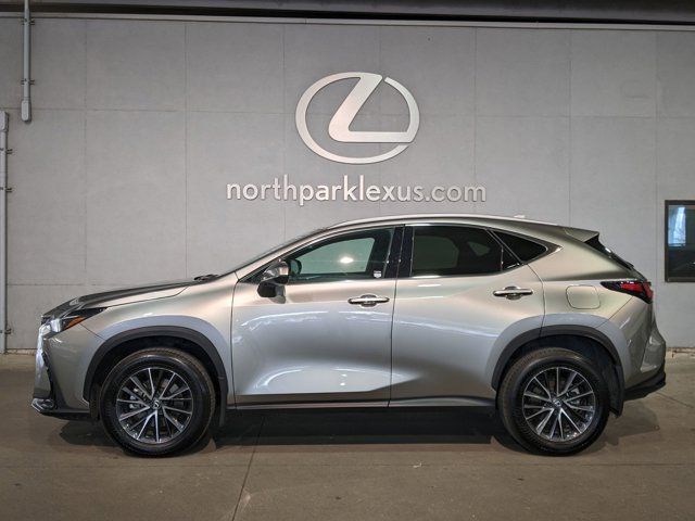 2024 Lexus NX 250 Premium