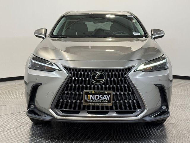 2024 Lexus NX 250 Premium