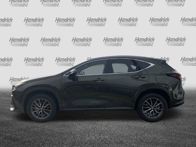 2024 Lexus NX 250 Premium