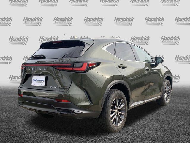 2024 Lexus NX 250 Premium