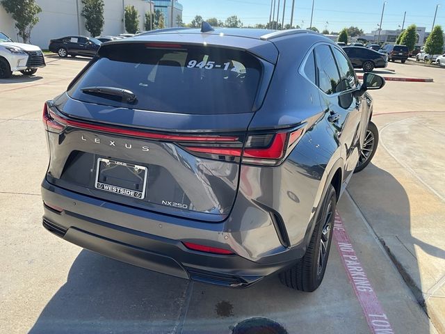 2024 Lexus NX 250 Premium