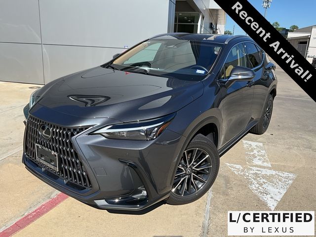 2024 Lexus NX 250 Premium