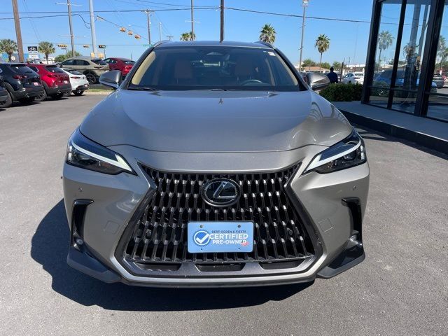 2024 Lexus NX 250 Premium