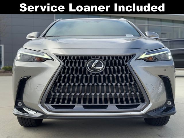 2024 Lexus NX 250 Premium