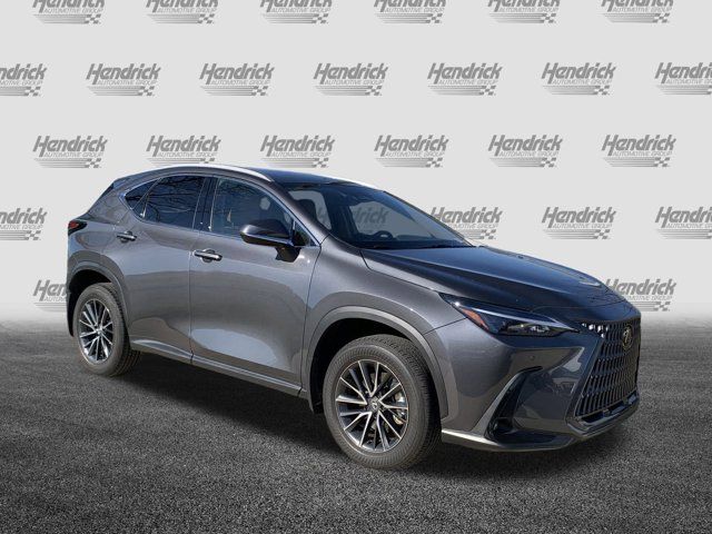 2024 Lexus NX 250 Premium